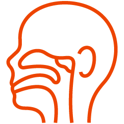ent-icon